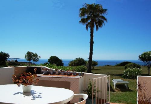 a patio with a table and a palm tree at Ocean facing at Senhora da Rocha in Porches