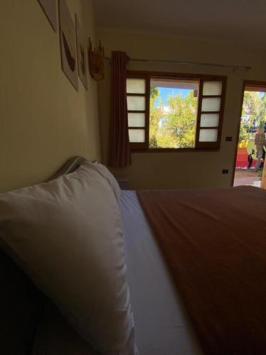a bedroom with a bed and two windows at Happy Land Hotel Dahab in Dahab