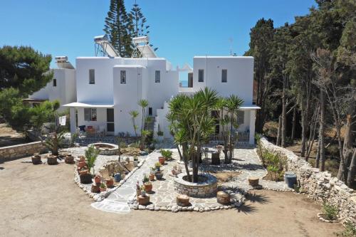 a large white house with palm trees in front of it at Kiki's apartment veranda dream in Chrissi Akti