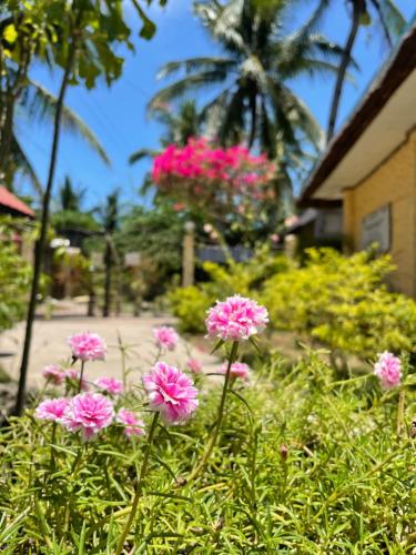 a group of pink flowers in front of a house at Victory Seaside Home in Bantayan Island