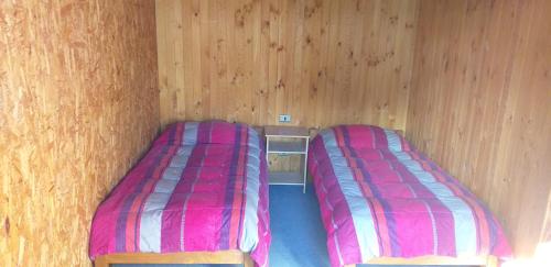 two beds in a room with wooden walls at Hospedaje Picoyo in Pucón