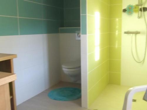 een kleine badkamer met een toilet en een douche bij Gîte Saint-Georges-de-Baroille, 4 pièces, 6 personnes - FR-1-496-170 in Saint-Georges-de-Baroille