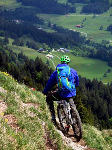 a man riding a bike down a hill at Apartment Wanderlust Gerlitzen in Kanzelhöhe