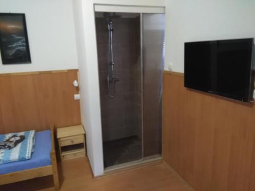 ducha con puerta de cristal y TV en una habitación en Muskatliapartman.cs2., en Paks