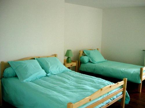 2 camas en un dormitorio con almohadas azules en Gîte Le Crozet, 5 pièces, 12 personnes - FR-1-496-100, en Le Crozet