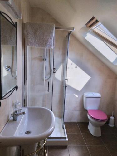 uma casa de banho com um chuveiro, um lavatório e um WC. em Wild Atlantic Stays em Castlemaine
