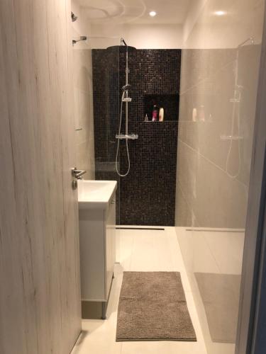 ein Bad mit einer Dusche, einem WC und einem Waschbecken in der Unterkunft Apartmán u Alfonse in Horní Lhota