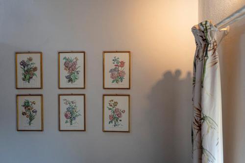 a wall with four framed drawings of flowers at Acqua di Civita Beauty & Rooms in Mercatello in Bagnoregio