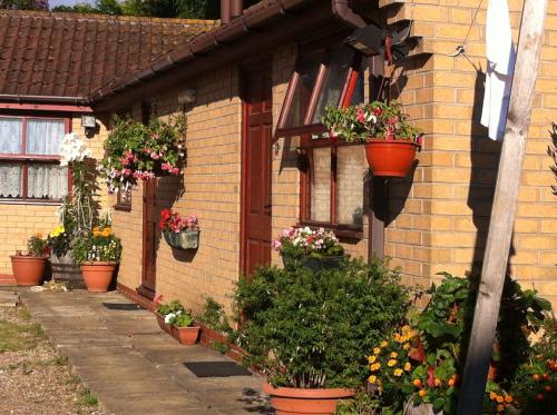 a house with flower pots on the side of it at The Star Inn in Nafferton