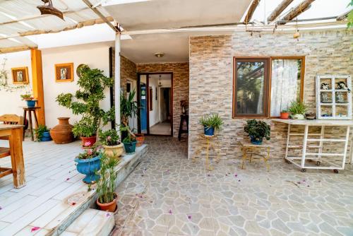 a patio with a bunch of potted plants at Eucalyptus Pension in Patara