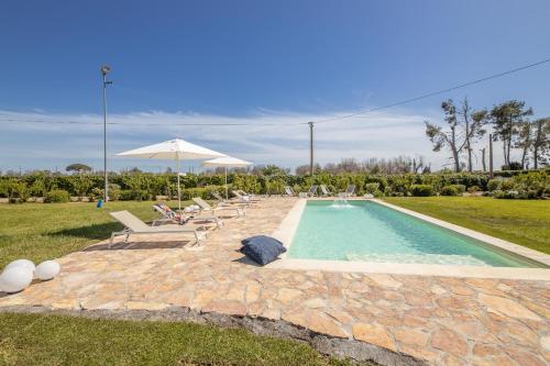 Tenuta Cucci - Matino – Photos 4