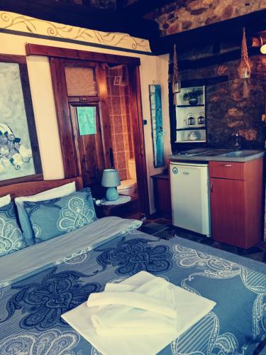 Кухня или мини-кухня в Traditional Guesthouse Erato
