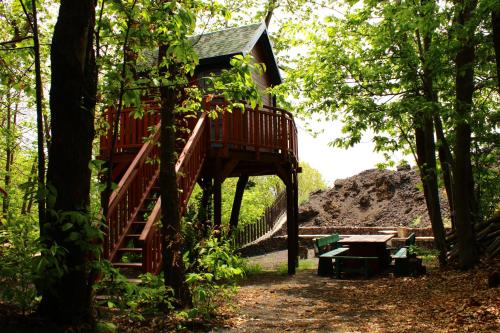 a tree house in the middle of the woods at Matilde's Chalet Etna Nature House in Nicolosi