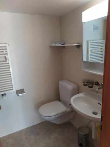ein Bad mit einem WC und einem Waschbecken in der Unterkunft 2 Zimmerwohnung Homestay Brienz Spanischgässli in Brienz