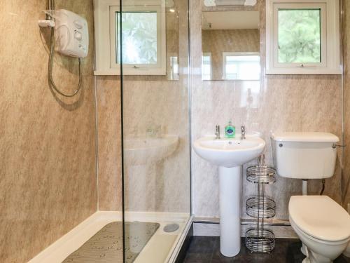 a bathroom with a shower and a toilet and a sink at Chalet 126a in Cromer
