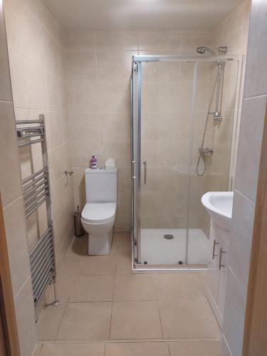 a bathroom with a shower and a toilet and a sink at Red Door Townhouse in Galway