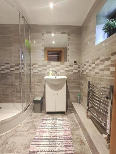 a bathroom with a sink and a shower at Pod Strzechą in Białka Tatrzańska
