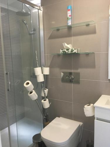 a bathroom with a toilet and a glass shower at Capuchos Terrasse in Caparica
