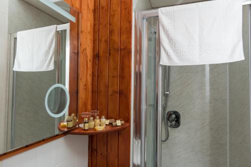 a bathroom with a shower and a mirror at Foyers Bay Country House in Foyers