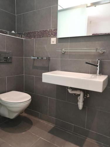 a bathroom with a white sink and a toilet at Hôtel du Raisin in Lausanne