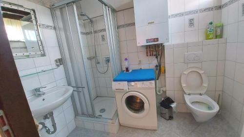 een badkamer met een douche en een wasmachine bij Plattedijk - vakantiehuis 25-41 in Lemmer