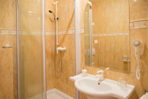 a bathroom with a shower and a sink and a shower at ROMANTIK HOTEL ELEONORA in Tábor