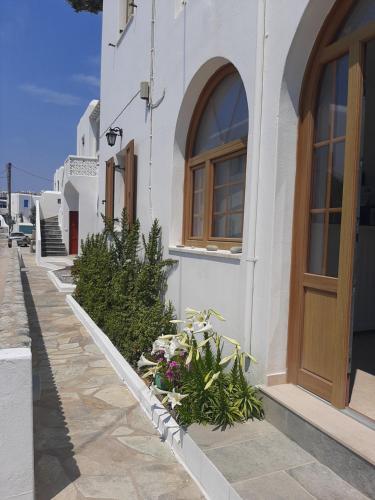 a white building with a door and some plants at Asteri Hotel in Ornos