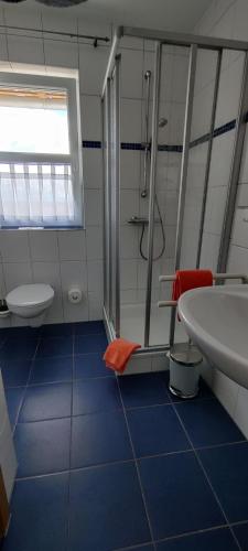 a bathroom with a shower and a toilet and a sink at Brigel-Hof in Meßkirch
