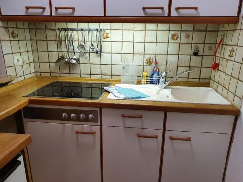 Kuchyň nebo kuchyňský kout v ubytování Ferienwohnung Haiber