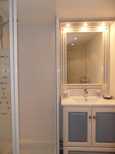 une salle de bain avec un lavabo et une douche avec un miroir dans l'établissement REF 005 Studio pour deux personnes avec terrasse résidence avec piscine PORT CROUESTY ARZON, à Arzon