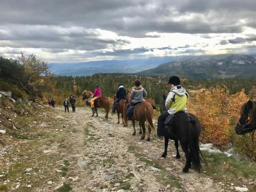 a group of people riding horses down a dirt road at Lifjelltunet in Lifjell
