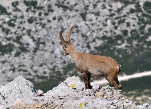 Galería fotográfica de Hotel Teresa en San Vigilio Di Marebbe