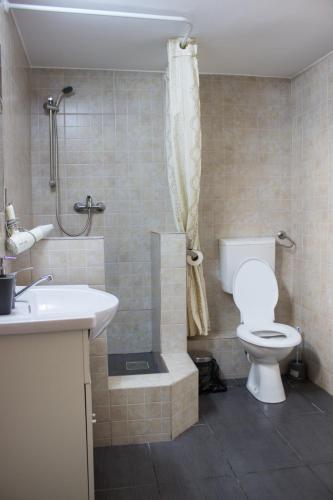 a bathroom with a toilet and a shower and a sink at casa hermosa in Turda