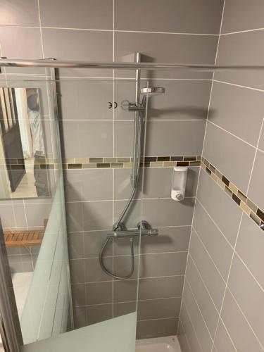 a shower with a glass door in a bathroom at Magnifique T2 avec terrasse et Jardin privé in Mandelieu-la-Napoule