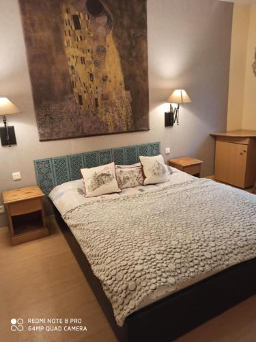 une chambre avec un lit et un tableau au mur dans l'établissement Résidence Grand Hôtel Appartement Standing, à Aulus-les-Bains