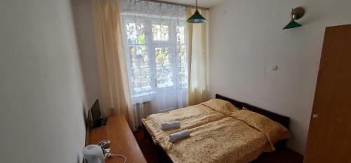 a bedroom with a bed and a window at Kasztelanka in Krynica Zdrój