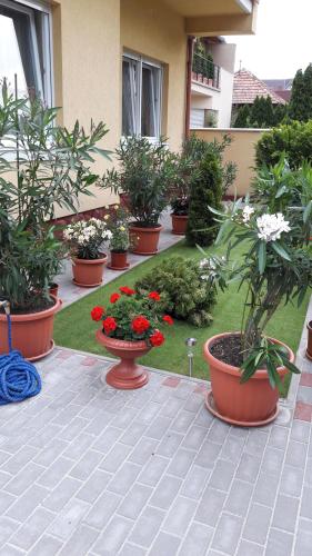 a row of potted plants in a courtyard with flowers at Matild Apartmanház in Siófok