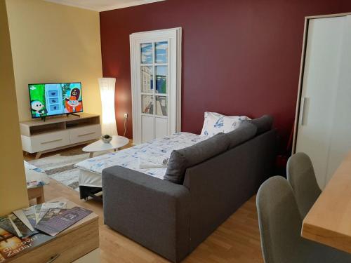 Televízia a/alebo spoločenská miestnosť v ubytovaní Zadar Old City Apartment Leonardo