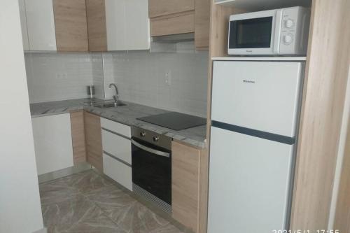 a kitchen with a white refrigerator and a microwave at apartamentos Sonia YEIK in Muxia