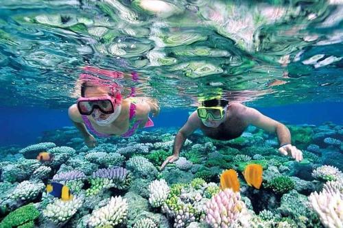 two people are swimming over a coral reef at Nyumba Tulivu in Watamu