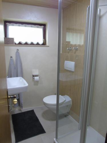 a bathroom with a shower and a toilet and a sink at Landhaus Schanzblick in Bad Hindelang