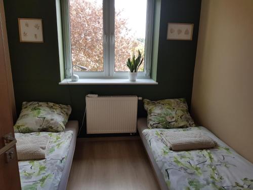 two beds in a room with a window and a radiator at Malinowa 36 Apartamenty in Chojnice