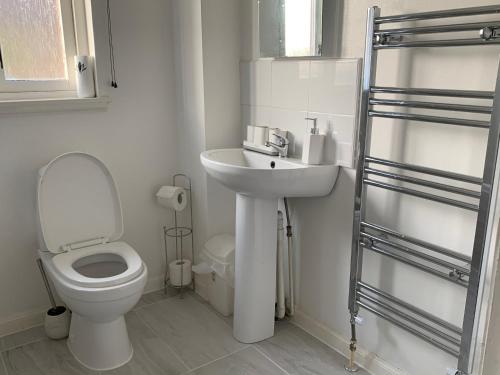 a white bathroom with a toilet and a sink at Dada Apartment in Glasgow