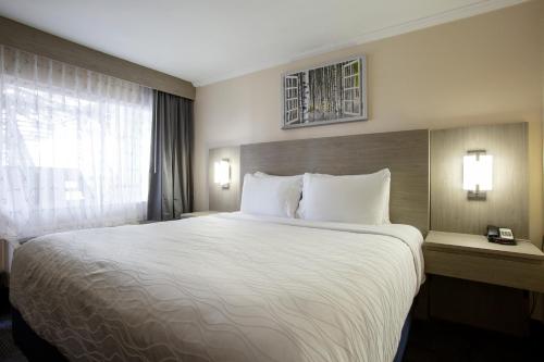 a hotel room with a large bed and a window at Hotel Aspen Flagstaff/ Grand Canyon InnSuites in Flagstaff