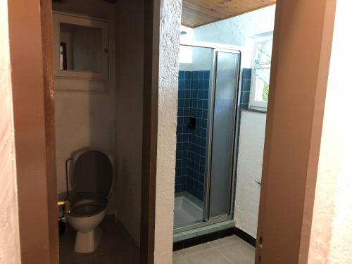 a bathroom with a toilet and a glass shower at LA PETITE MESANGE in Dabo