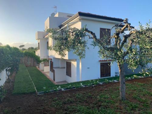 a white house with a tree in front of it at Sperlonga Shores in Sperlonga