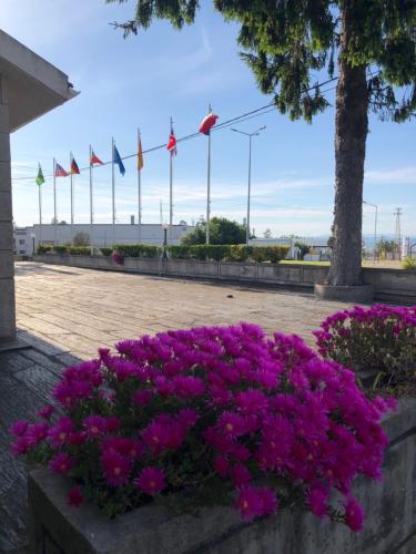 a bunch of purple flowers in a park with flags at HOTEL CRUZ DA MATA in Mangualde