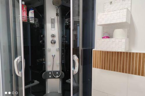 a shower with a glass door in a bathroom at Apartamento Los Tulipanes in Lumpiaque