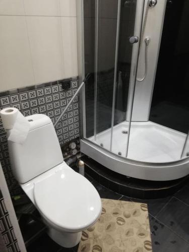 a bathroom with a white toilet and a shower at Ленина 31 in Omsk