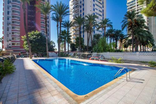 ein Swimmingpool mit Palmen und Gebäuden in der Unterkunft BENIDORM, Las Damas, primera línea de playa de Levante in Benidorm